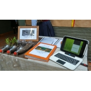 Escuela en Feria  